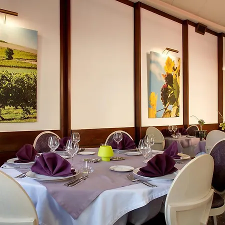 Hotel Logis Hotel-restaurant Le Chene Saint-Pourcain-sur-Sioule